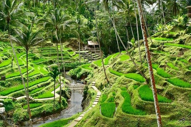 Magic Of Ubud Temple Swing And Waterfall Private Guided Tour - Monkey Forest: a short Ubud introduction