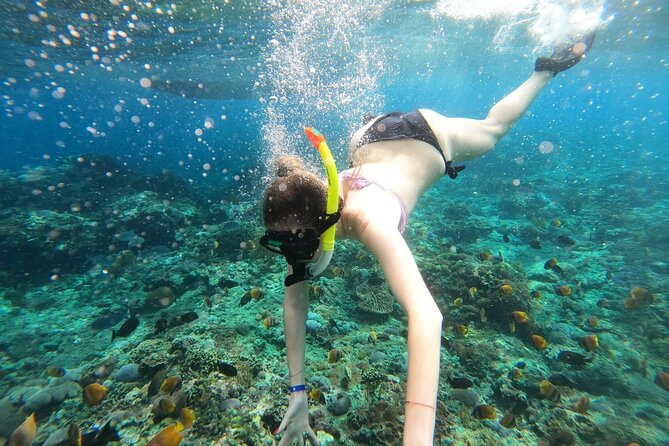 Manta Bay Snorkeling Adventure with Kelingking Beach Nusa Penida All Inclusive - Three possible snorkeling bays around Nusa Penida
