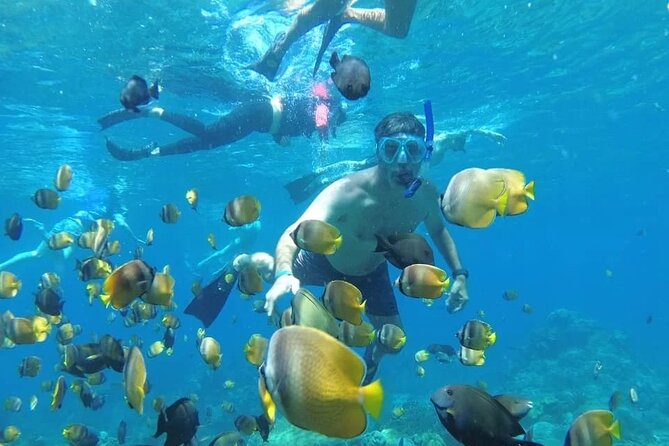Manta Bay Snorkeling Adventure with Kelingking Beach Nusa Penida All Inclusive - Lunch gives you a needed pause