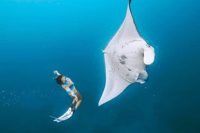 Manta Point Snorkeling & West Nusa Penida Island Day Tour - Key points to know before booking