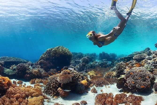 Manta Point Snorkeling & West Nusa Penida Island Day Tour - Gamat Bay brings fish, coral, and a second chance in the water