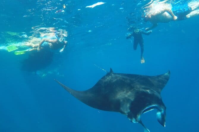 Manta Point Snorkeling & West Nusa Penida Island Day Tour - What the guides add to a long day