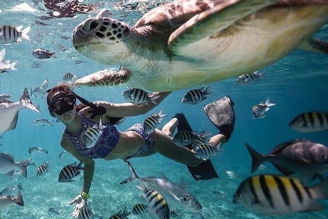 Manta Point Snorkeling & West Nusa Penida Island Day Tour - Who should book this Nusa Penida day?