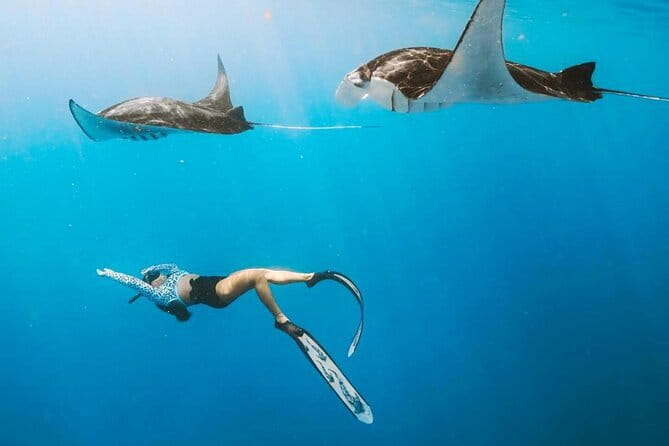 Manta Point Snorkeling & West Nusa Penida Island Day Tour - The island road tour starts with Kelingking Beach