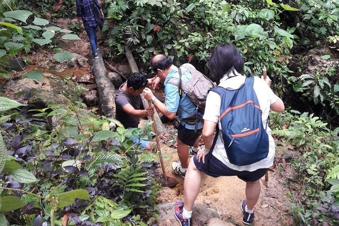 Medan - Bukit Lawang Fullday Tour - The long road from Medan to Bukit Lawang