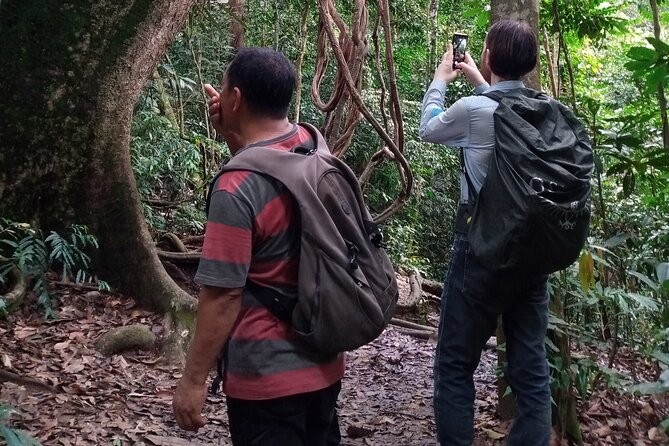 Medan - Bukit Lawang Fullday Tour - A private tour changes the rhythm