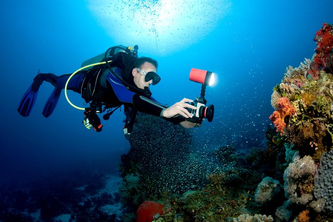 Menjangan island for Certified Scuba Divers full day boat trip, 2 dives + lunch - Is $115 a fair price?