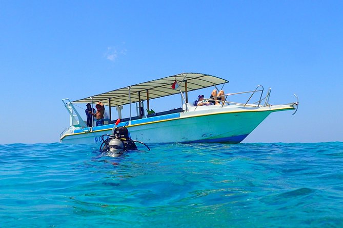 Menjangan island for Certified Scuba Divers full day boat trip, 2 dives + lunch - What the two underwater sessions offer