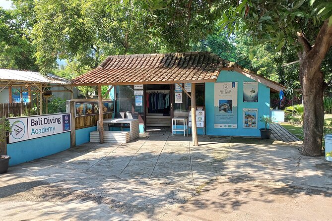 Menjangan island snorkeling full day boat trip - The second one-hour session
