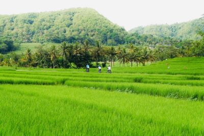 Menoreh Village Cycling