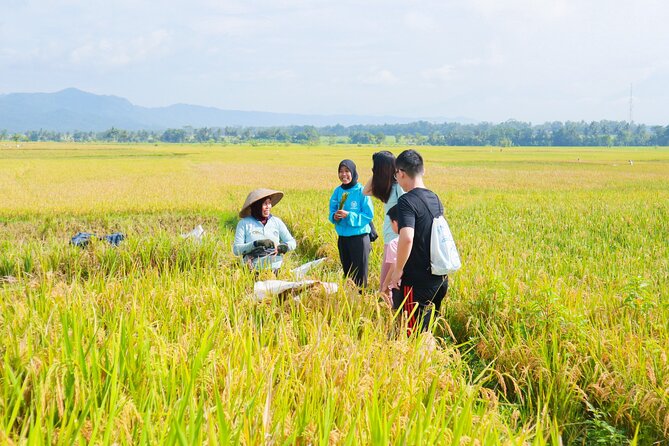 Menoreh Village Cycling - Learning from fields, plants, and village life