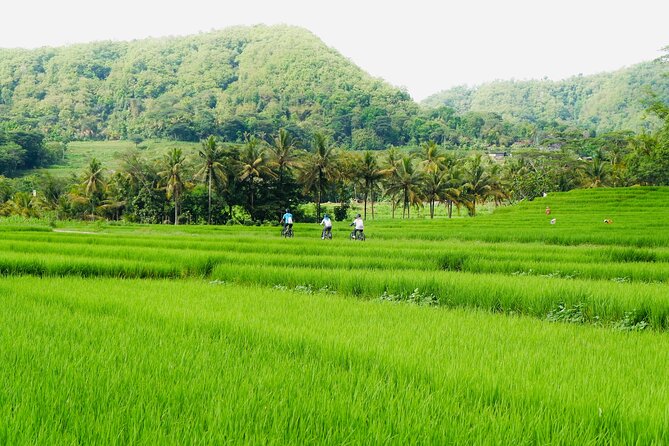 Menoreh Village Cycling - Starting at MOANA Nanggulan basecamp