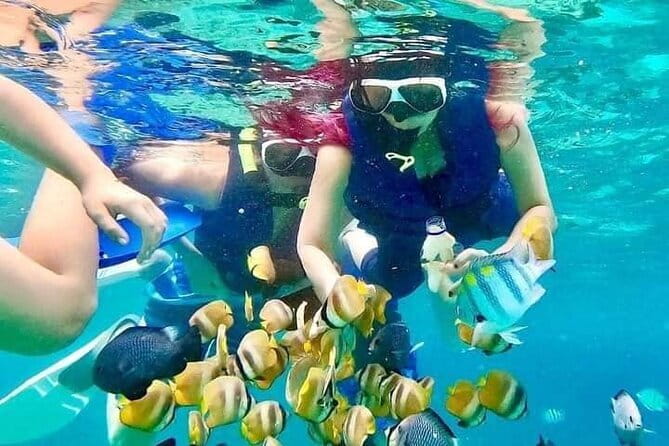 Monkey Bar and snorkling adventure at blue lagoon. - Blue Lagoon snorkeling: two hours on the water
