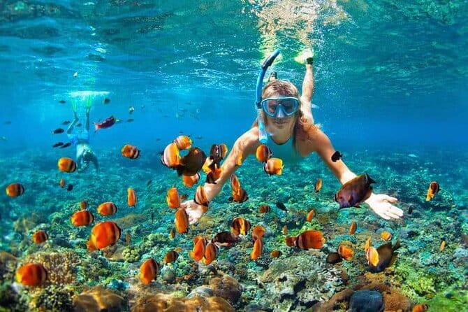 Monkey Bar and snorkling adventure at blue lagoon. - Is $70 good value?