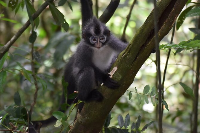 Monkey Business 3 days - 2 nights Jungle trekking (including rafting) - Practical packing advice for the rainforest