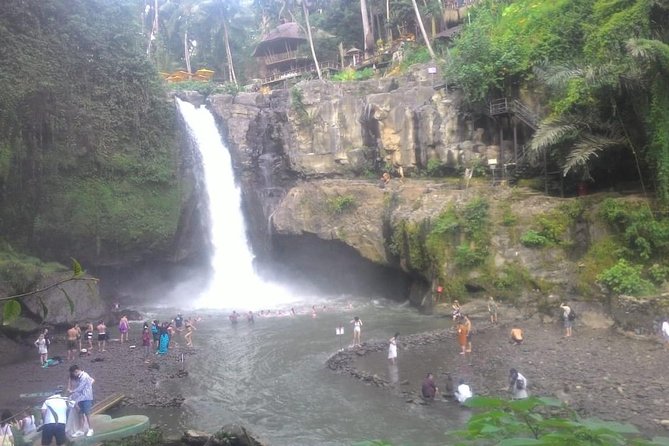 Monkey Forest, Ubud, Waterfall and Rice Terrace - Celuk Village and gold and silver craft