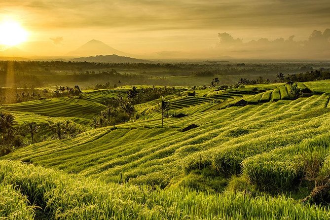 More Complete: Discover Bali In 3 Days Private Tour Package - Is $223.99 per person a fair price?