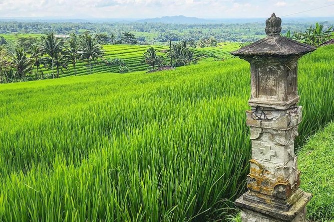 More Complete: Discover Bali In 3 Days Private Tour Package - Who should book this Bali package?