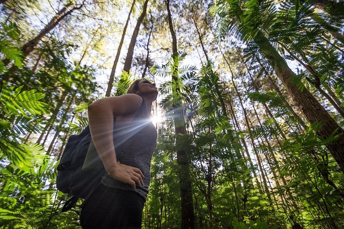 Mount Batur Sunrise Hike with Breakfast - What to pack for a safer, happier climb
