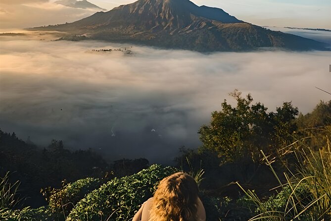 Mount Batur Sunrise Trekking with Natural Hot Spring - The Balinese coffee plantation stop