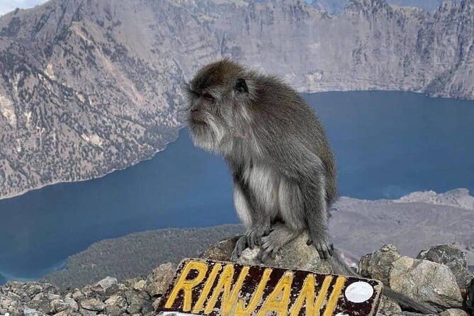 Mount Rinjani 2D 1N trekking to summit - What to pack, and what the tour does not provide