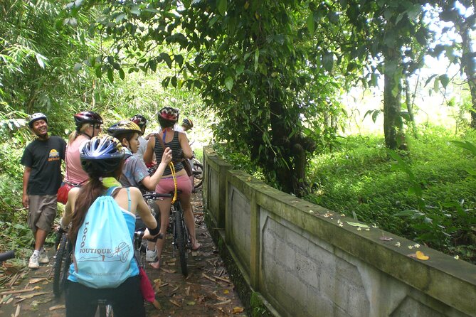 Mountain Cycling Tour - How the tour handles different ability levels