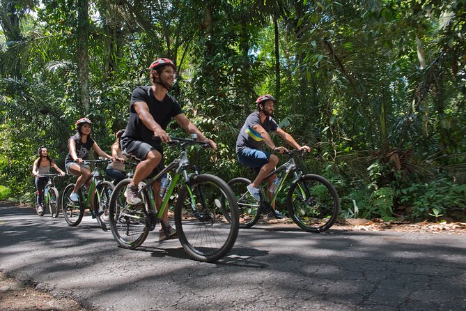 Mountain Cycling Tour - What makes the guides important
