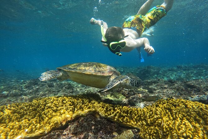 No:#1. Penida Island Tour And Snorkeling With Manta - Indonesian lunch keeps the schedule moving