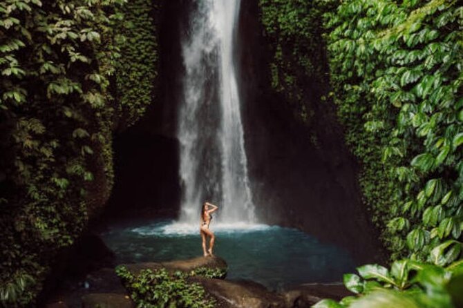 North Bali Nature Escape Rice Terraces, Temples & Waterfall - Why this North Bali day trip works