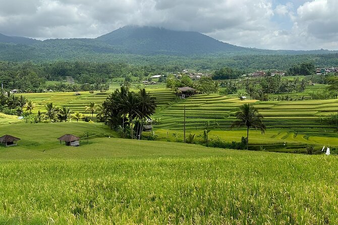 North Bali Nature Escape Rice Terraces, Temples & Waterfall - Banyumala Twin Waterfall at the valley floor