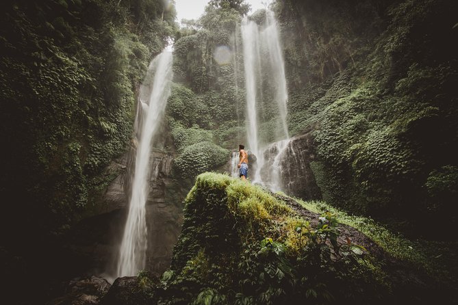 North Bali: Sekumpul Waterfalls and Ulun Danu Temple Tour - What the $22.50 price really covers