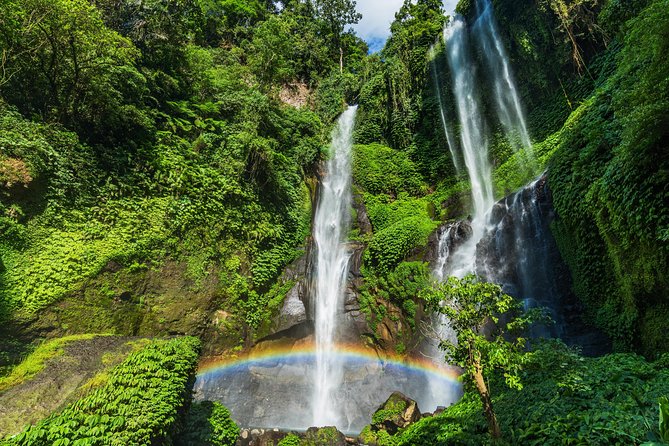 North Bali: Sekumpul Waterfalls and Ulun Danu Temple Tour - Who should book this Bali day trip?