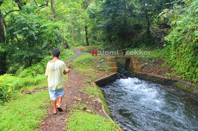 North Lombok Waterfalls - Two waterfalls below Mount Rinjani