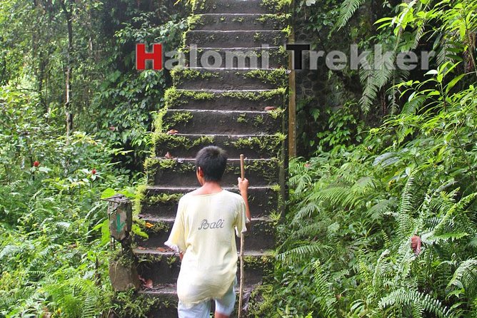 North Lombok Waterfalls - Tiu Kelep and the best photo opportunities
