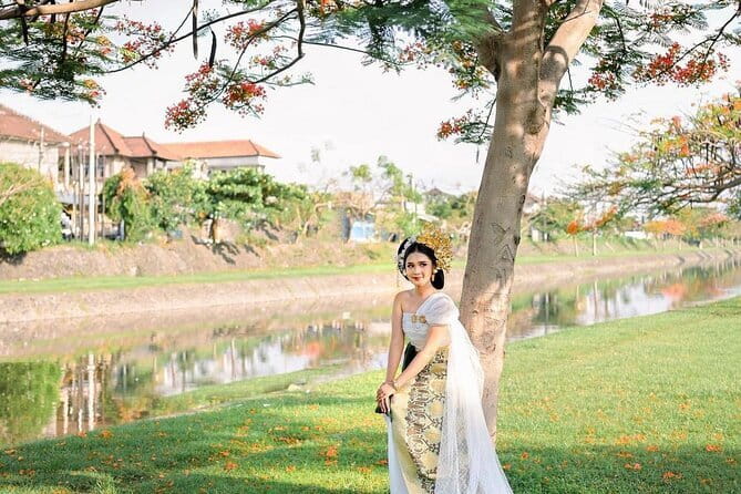 Northern Bali Highlights + Unesco Scenic Heritage Rice Terrace. - How the private vehicle changes the day