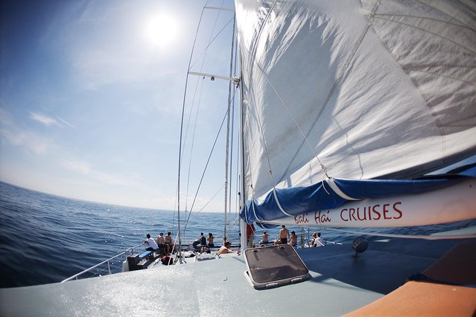 Nusa Lembongan: Island Discovery Cruise - Who should book the Aristocat outing