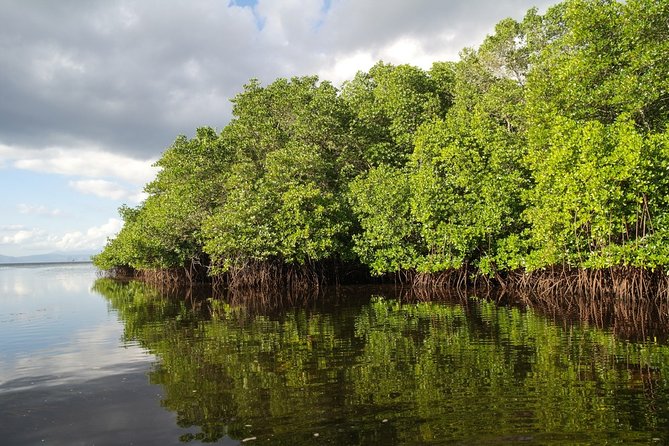 Nusa Lembongan Island: Snorkeling & Mangrove Forest Day Tour - Why this Nusa Lembongan day works so well