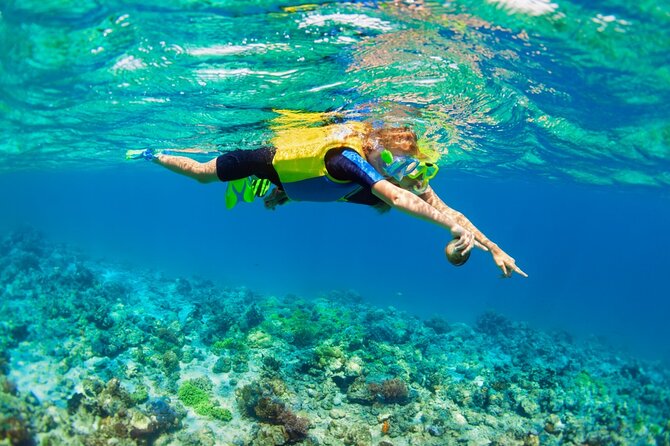 Nusa Lembongan Island: Snorkeling & Mangrove Forest Day Tour - Snorkeling over Nusa Lembongan’s coral reef