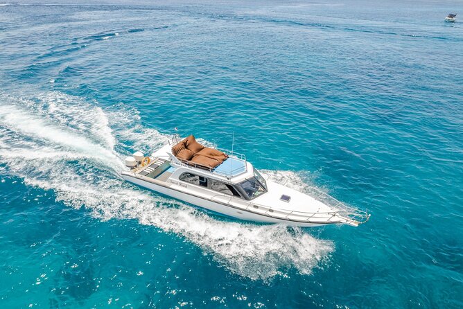 ️Nusa Penida by Private Boat - Snorkeling 4 spots, Swim with Mantas + Land Tour - Kelingking Cliff and the real cost of the road