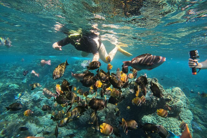 Nusa-Penida customize Tour - All inclusive - What the guides add to the day