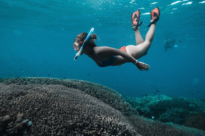 Nusa Penida day trip: boat, 4 snorkeling, Manta rays & Land tour - Four snorkel stops, one very full day