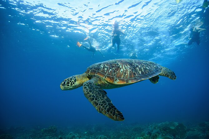 Nusa Penida day trip: boat, 4 snorkeling, Manta rays & Land tour - Lunch with an infinity pool and ocean view