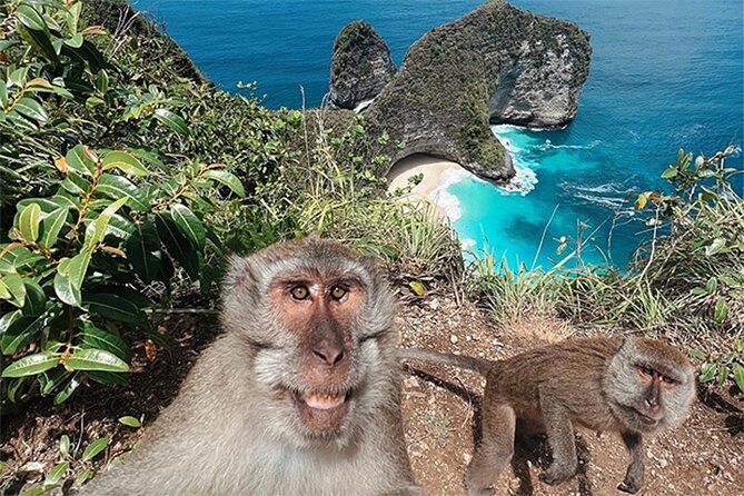 Nusa Penida day trip: boat, 4 snorkeling, Manta rays & Land tour - Safety, sea conditions, and comfort