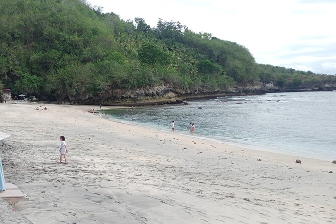 Nusa Penida East And West Full Day Private Guided Tour - Kelingking Beach and the famous cliff profile