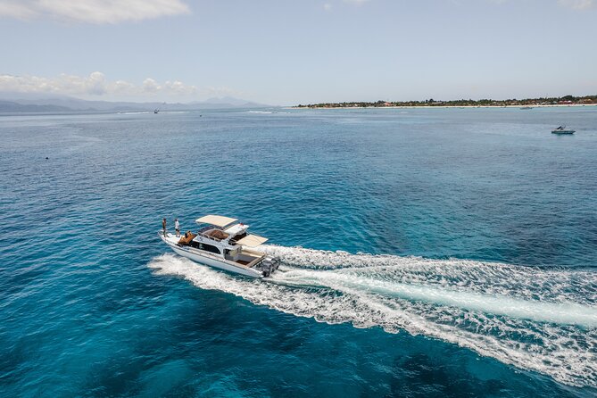 Nusa Penida Full Day Tour by Riki J Yacht 13 meters - SD Point brings current and sea life