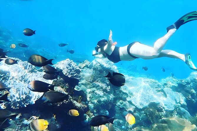 Nusa Penida Island Beach Tour With Snorkeling - Departure From Bali Island - An early start and a fast ride from Bali