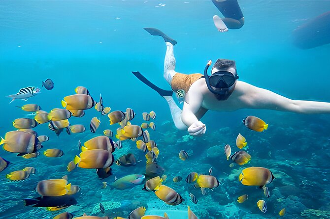 Nusa Penida Island Beach Tour With Snorkeling - Departure From Bali Island - Kelingking Beach is a viewpoint, not a beach day