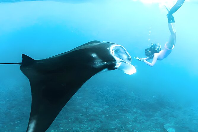 Nusa Penida Island Beach Tours with Snorkeling From Bali - Gamat Bay, Crystal Bay, and Manta Bay