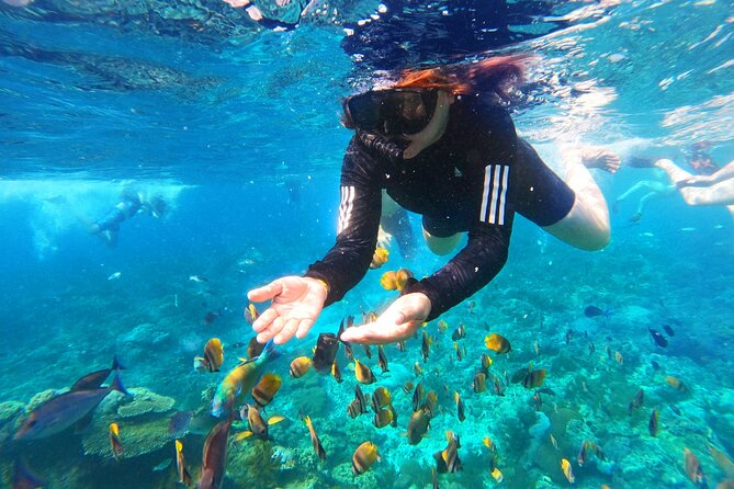 Nusa Penida Island Tour Package With Snorkeling - What is included for $100