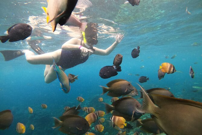 Nusa Penida Land Tour and 4 Points Snorkeling with Manta - Lunch at 1 pm and the afternoon coast